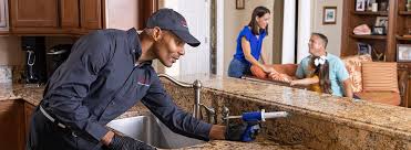 Best Pest Control for Multi-Family Homes  in Fairfax Station, VA